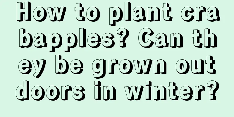 How to plant crabapples? Can they be grown outdoors in winter?