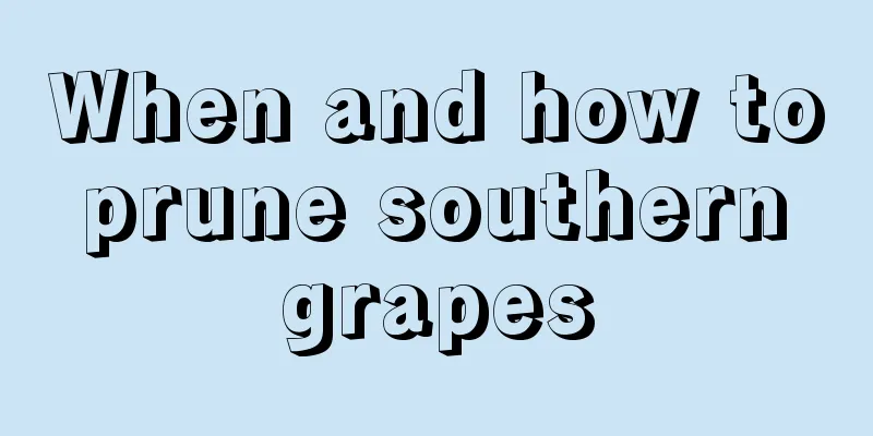 When and how to prune southern grapes