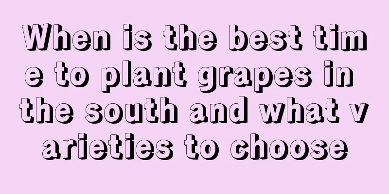 When is the best time to plant grapes in the south and what varieties to choose