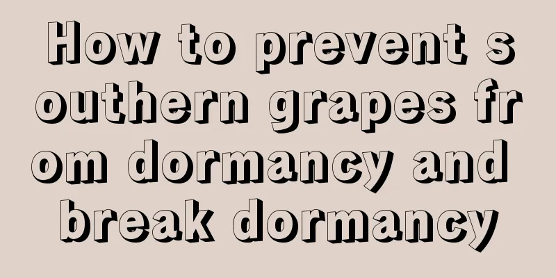 How to prevent southern grapes from dormancy and break dormancy