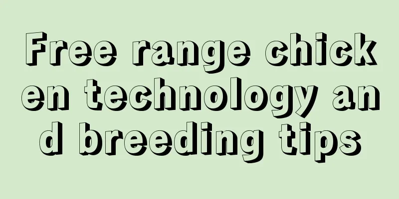 Free range chicken technology and breeding tips