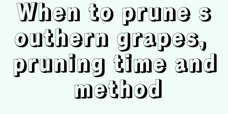 When to prune southern grapes, pruning time and method