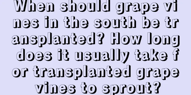 When should grape vines in the south be transplanted? How long does it usually take for transplanted grape vines to sprout?