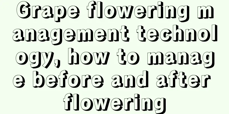 Grape flowering management technology, how to manage before and after flowering