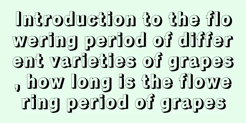 Introduction to the flowering period of different varieties of grapes, how long is the flowering period of grapes