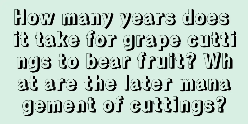 How many years does it take for grape cuttings to bear fruit? What are the later management of cuttings?