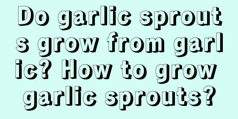 Do garlic sprouts grow from garlic? How to grow garlic sprouts?