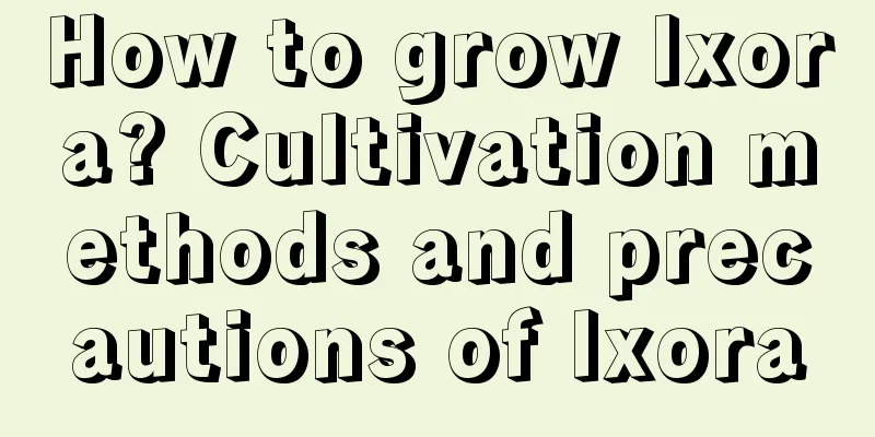 How to grow Ixora? Cultivation methods and precautions of Ixora