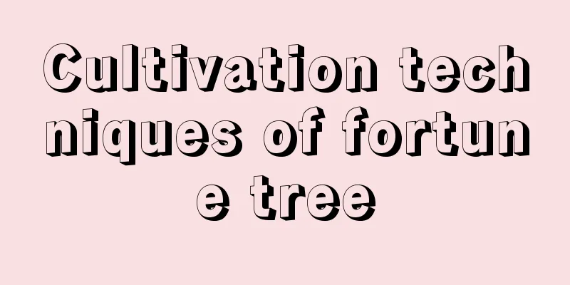 Cultivation techniques of fortune tree