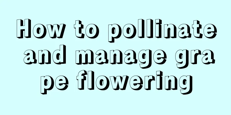 How to pollinate and manage grape flowering