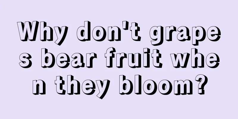 Why don't grapes bear fruit when they bloom?