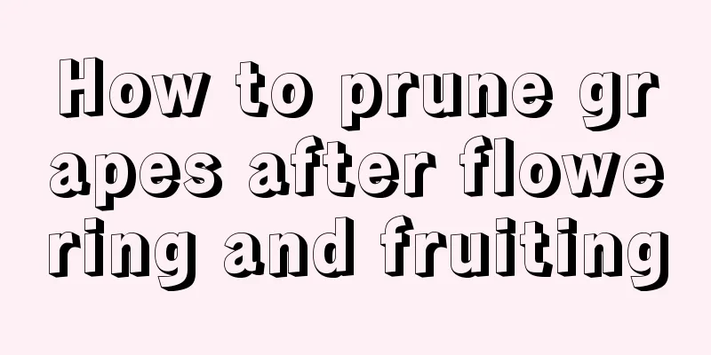 How to prune grapes after flowering and fruiting