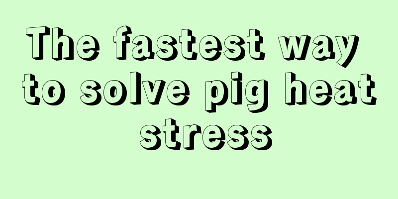 The fastest way to solve pig heat stress