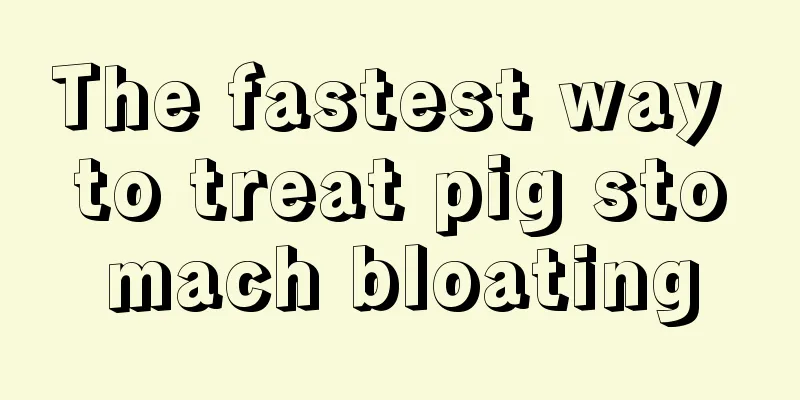 The fastest way to treat pig stomach bloating