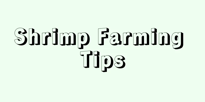 Shrimp Farming Tips