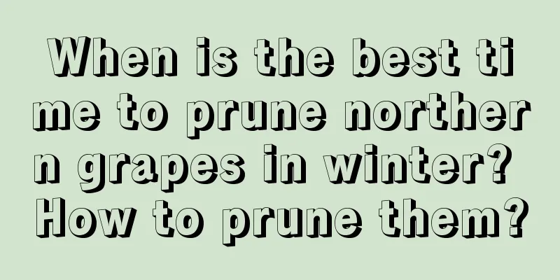 When is the best time to prune northern grapes in winter? How to prune them?