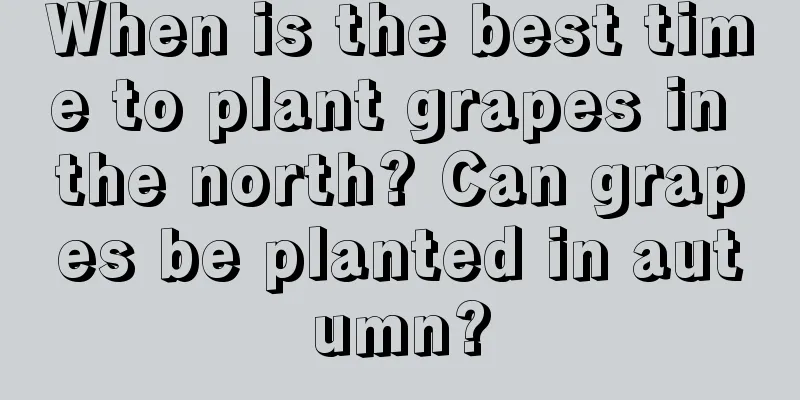 When is the best time to plant grapes in the north? Can grapes be planted in autumn?