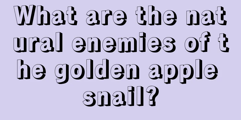 What are the natural enemies of the golden apple snail?