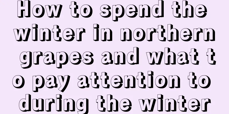 How to spend the winter in northern grapes and what to pay attention to during the winter