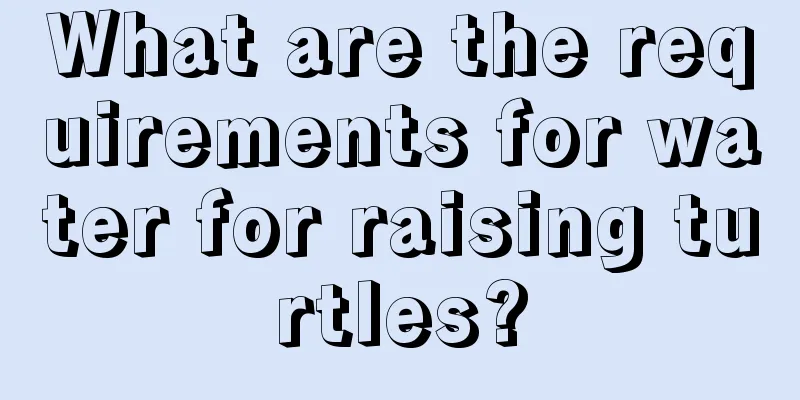 What are the requirements for water for raising turtles?