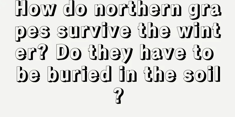 How do northern grapes survive the winter? Do they have to be buried in the soil?