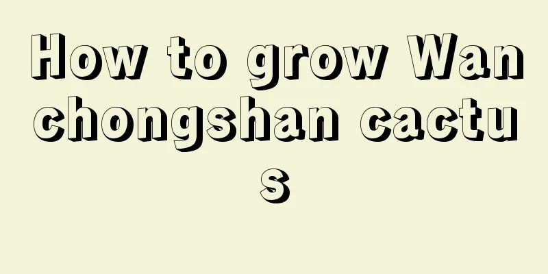 How to grow Wanchongshan cactus