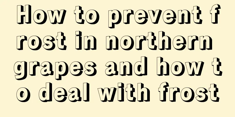 How to prevent frost in northern grapes and how to deal with frost