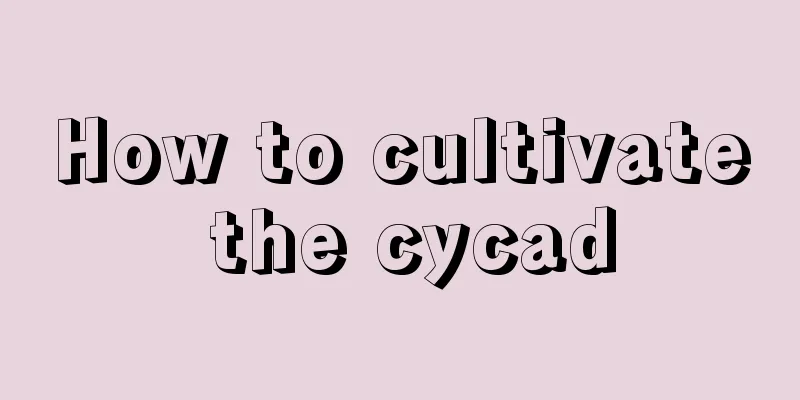 How to cultivate the cycad