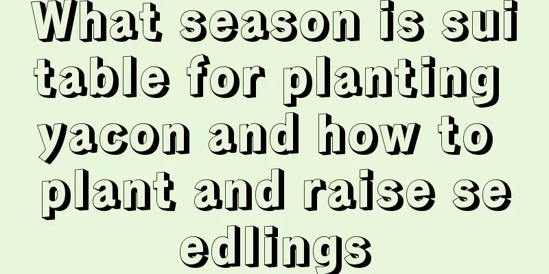 What season is suitable for planting yacon and how to plant and raise seedlings