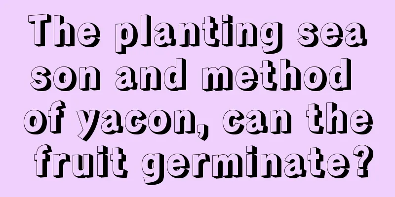 The planting season and method of yacon, can the fruit germinate?