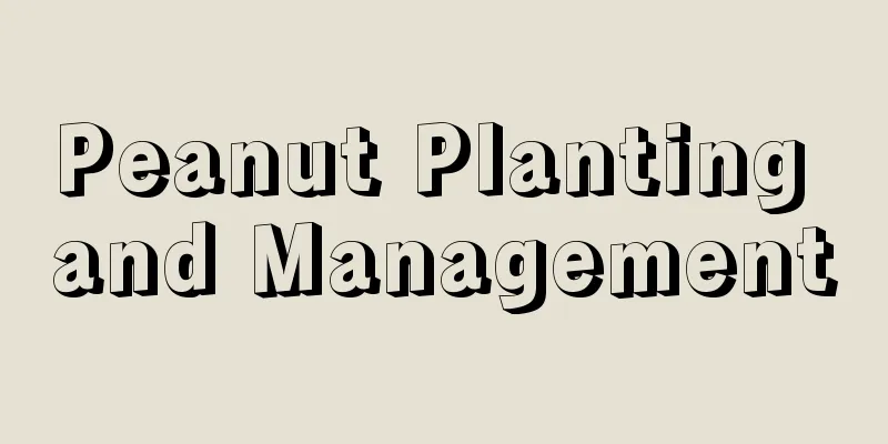 Peanut Planting and Management