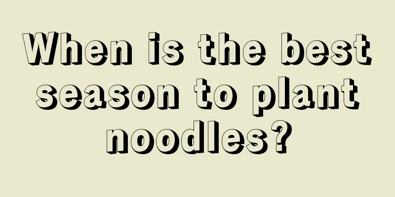 When is the best season to plant noodles?