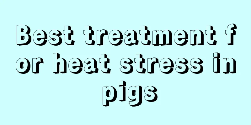 Best treatment for heat stress in pigs