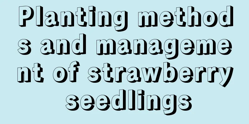 Planting methods and management of strawberry seedlings