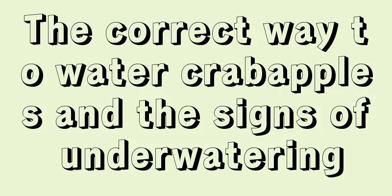 The correct way to water crabapples and the signs of underwatering