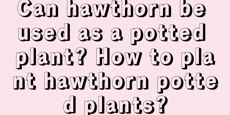 Can hawthorn be used as a potted plant? How to plant hawthorn potted plants?