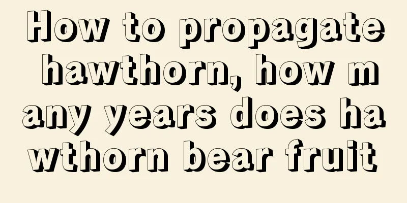 How to propagate hawthorn, how many years does hawthorn bear fruit