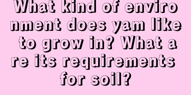 What kind of environment does yam like to grow in? What are its requirements for soil?