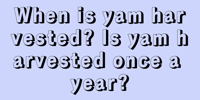 When is yam harvested? Is yam harvested once a year?