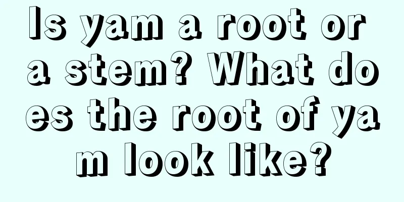 Is yam a root or a stem? What does the root of yam look like?