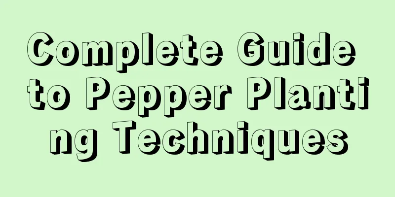 Complete Guide to Pepper Planting Techniques