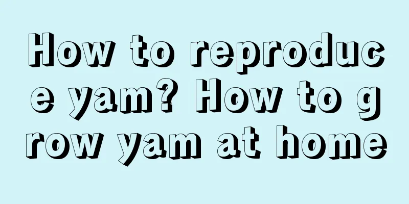 How to reproduce yam? How to grow yam at home