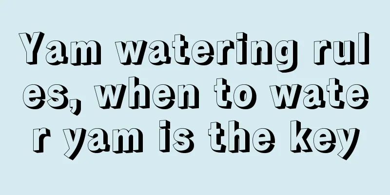 Yam watering rules, when to water yam is the key