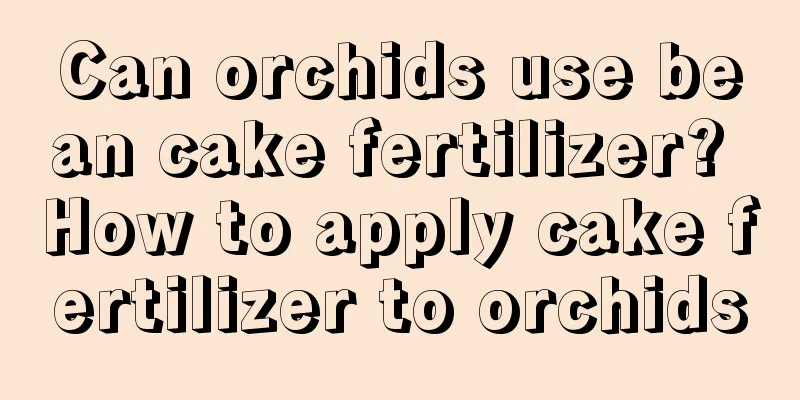 Can orchids use bean cake fertilizer? How to apply cake fertilizer to orchids