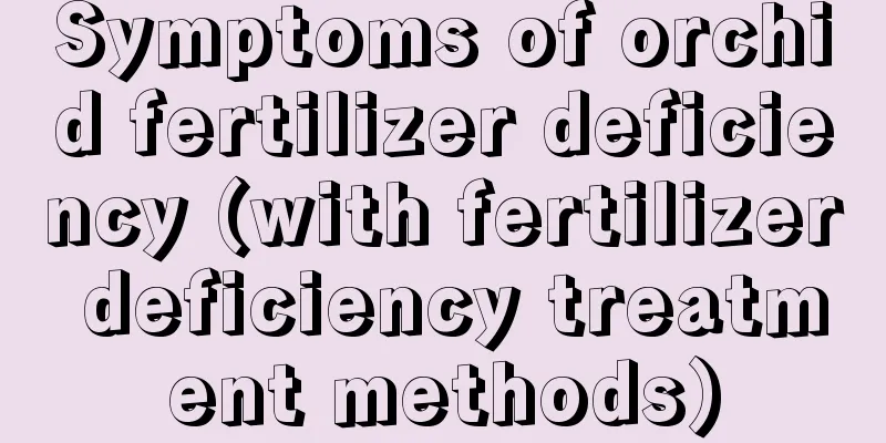 Symptoms of orchid fertilizer deficiency (with fertilizer deficiency treatment methods)