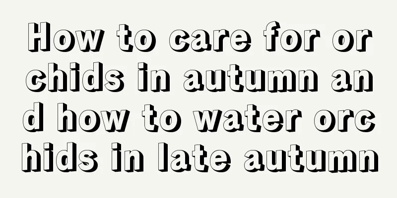 How to care for orchids in autumn and how to water orchids in late autumn