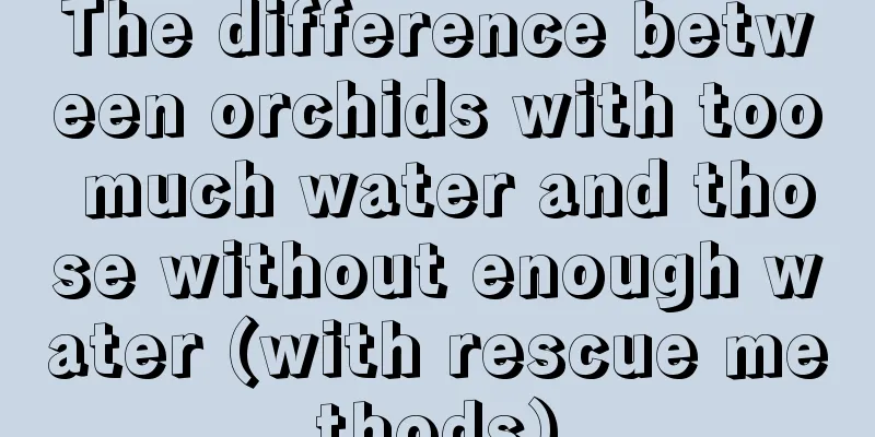 The difference between orchids with too much water and those without enough water (with rescue methods)