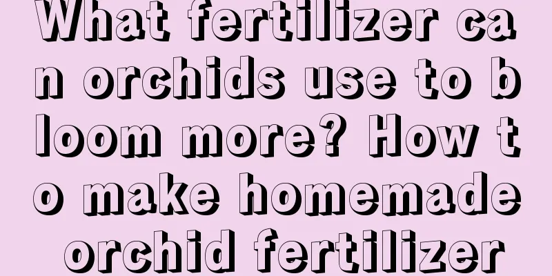 What fertilizer can orchids use to bloom more? How to make homemade orchid fertilizer