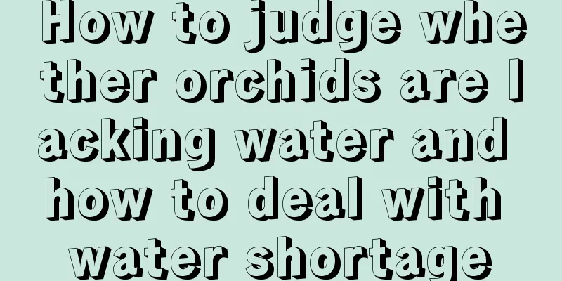 How to judge whether orchids are lacking water and how to deal with water shortage