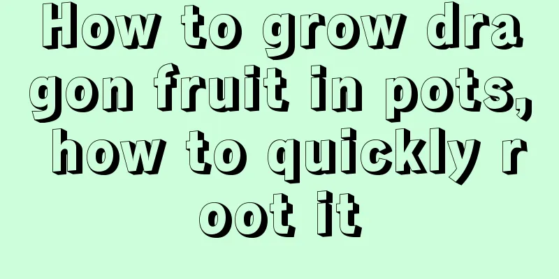 How to grow dragon fruit in pots, how to quickly root it